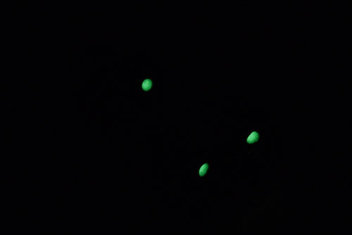 Guarder Luminous Steel Sight Set for Marui P226