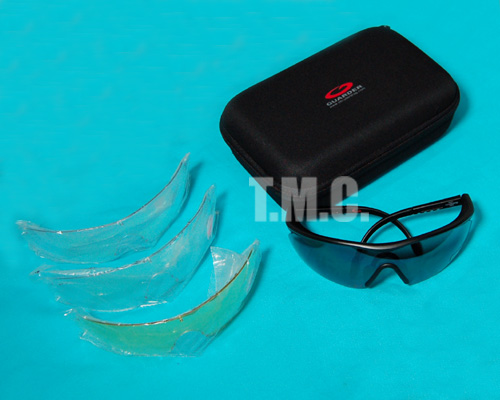 Guarder C2 Polycarbonate Eye Protection Glasses(2007 Version) - Click Image to Close