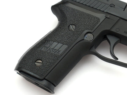 Custom WE P229 GBB Pistol