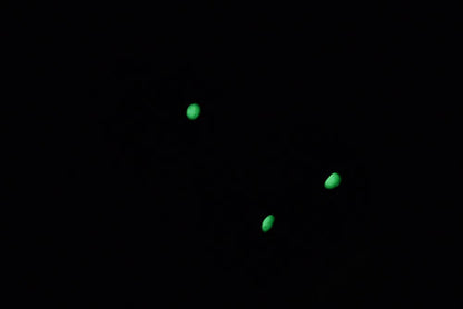 Guarder Luminous Steel Sight Set for Marui P226