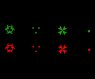 DD Four Pattern Red / Green Dot Scope(Type C)