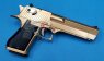 Cyber Gun(WE) Full Metal Desert Eagle .50AE Gas Blow Back Pistol (Gold)